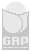 缺水橘農(nóng)愁臉變笑顏——湖北秭歸推廣應(yīng)用微潤(rùn)灌溉側(cè)記
